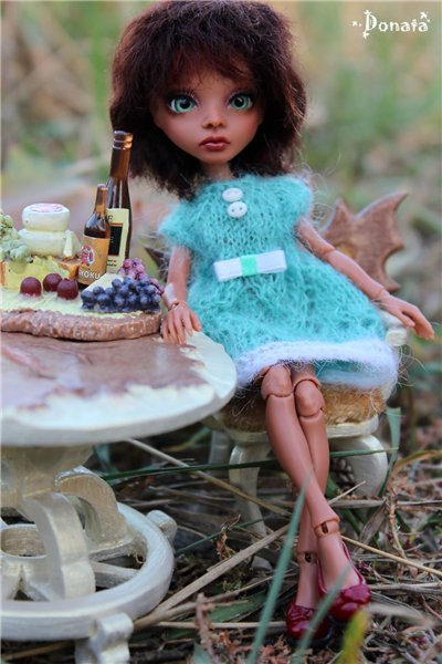 Амигатомания набирает обороты (фото 10)