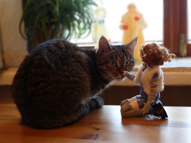 Souldoll Little Metel на прогулке (фото 5)