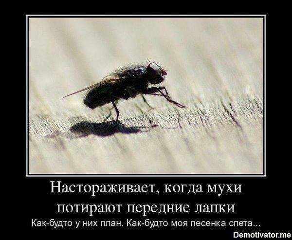 10 секретов богатства — Болталка и разговоры обо всем: жизнь