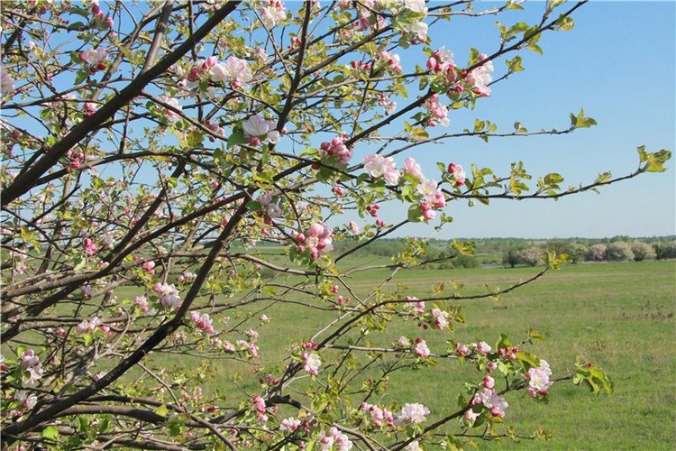 Субботний вояж. Заключительная часть