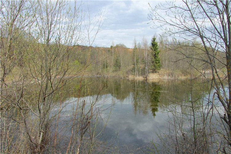 На водопад с Райли. Riley от автора Helen Kish (фото 4)