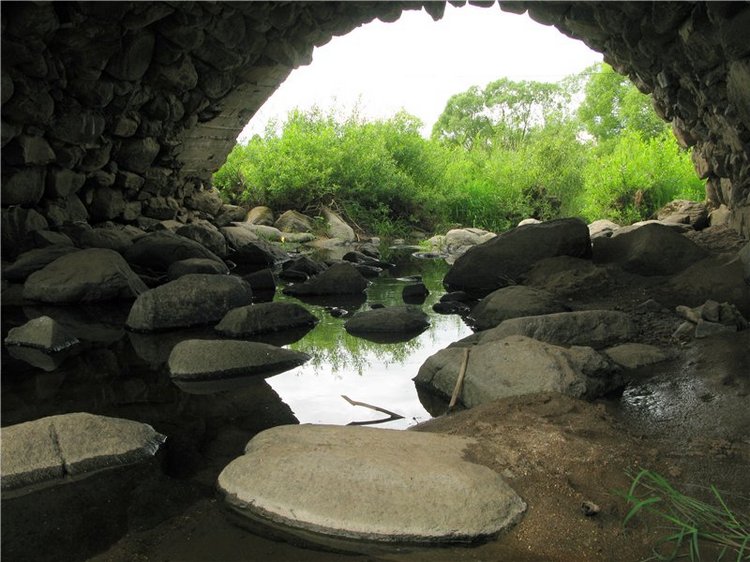 46-ой Пушкинский праздник поэзии в Берново. Часть вторая