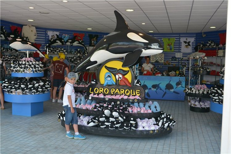 Испания. Тенерфе. Часть 2. Лоро парк (фото 3)