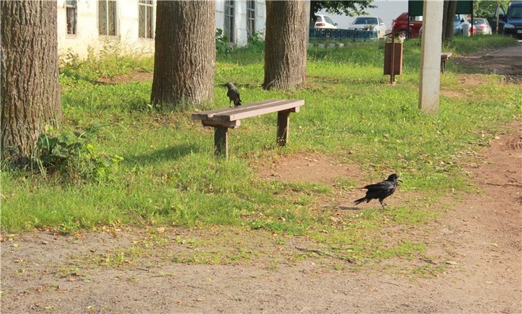 Русская Атлантида, заключительная часть. Калязин, Тверская область