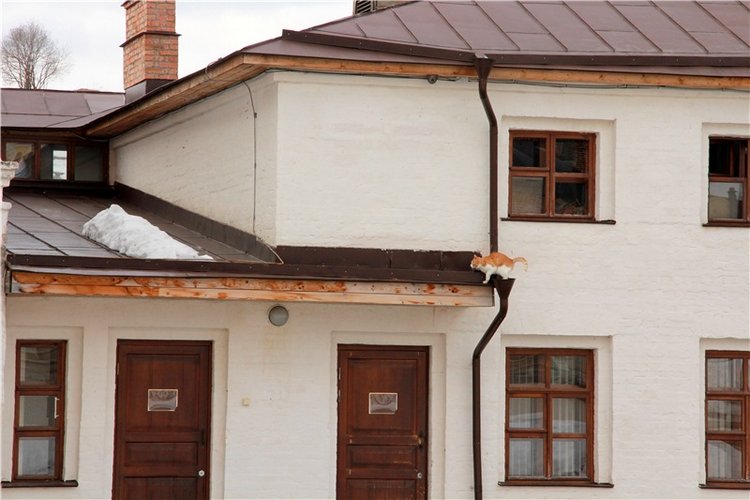 Весеннее путешествие. Продолжение