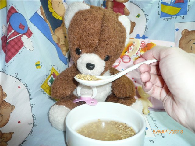 Мой Мишка приехал! Первые часы в любящей доме (фото 5)