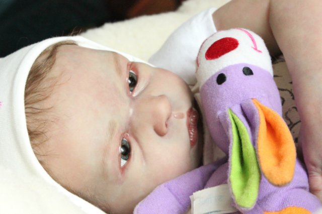 Принцесса Диана, куклы реборн Беспаловои Жанны