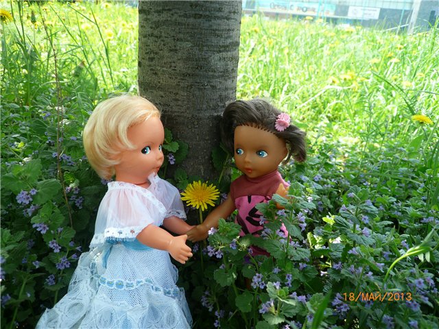 Розочка! Встреча сестренок (фото 3)