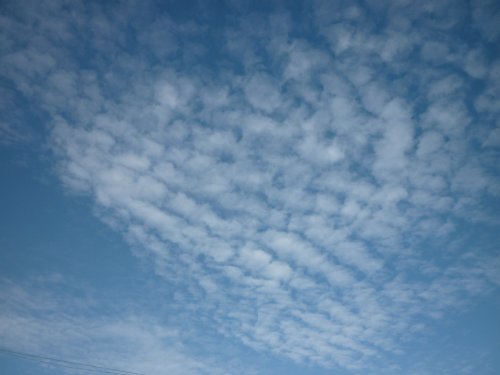 Золотая осень. Старый Оскол, Белгородская область (фото 3)