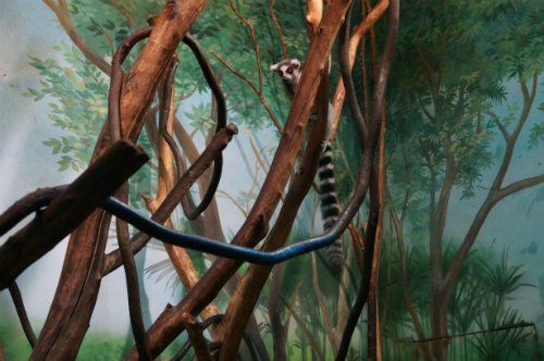 Воронежский океанариум — Туризм и путешествия: фотоотчеты из поездок