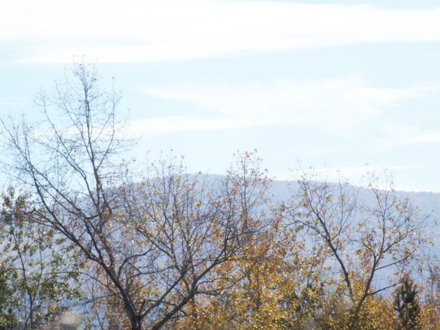 Осень золотая пора. Натали, LUTS (мейк от WOLKOLAK)