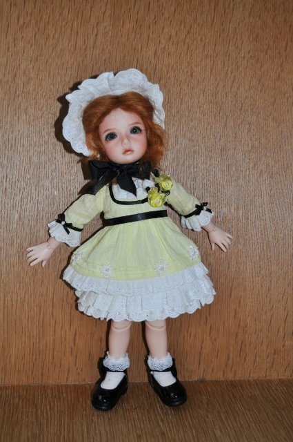 Очарование Элин — Куклы Iplehouse (Иплхаус): BJD (БЖД) (фото 4)