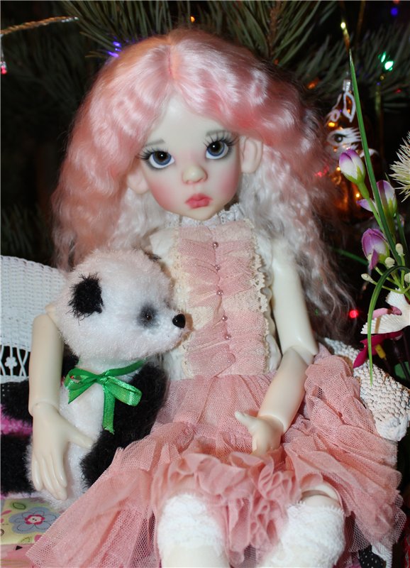 Мисс зима 2013-2014, участницы от Kaye Wiggs