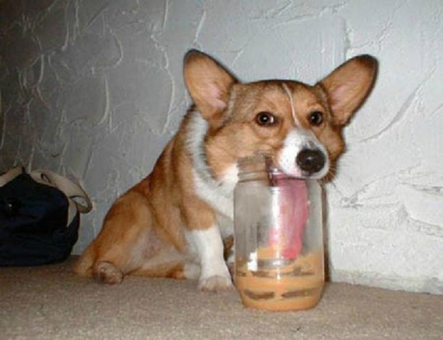 День дурака или день смеха! Вы готовы шутить и смеяться