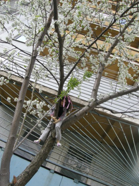 Немного весны. Иланка на прогулке