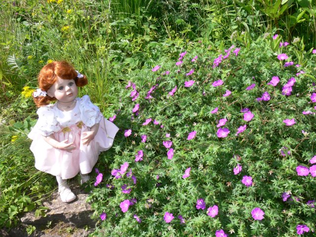 Продолжение прогулка в Ботаническом саду Санкт Петербурга. Часть 2. Иридарий | Бэйбики Продолжение прогулка в Ботаническом саду Санкт Петербурга. Часть 2. Иридарий (фото 3)