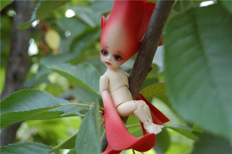 Прогулка по саду Doll zone