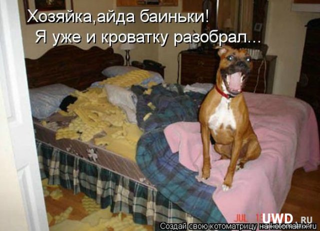 Понедельник - день тяжёлый | Бэйбики Понедельник - день тяжёлый