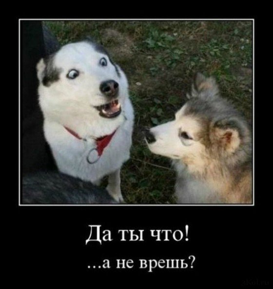 Понедельник - день тяжёлый | Бэйбики Понедельник - день тяжёлый