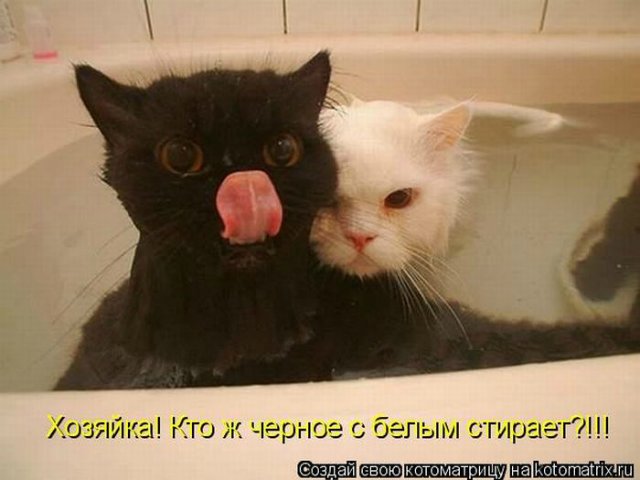 Море позитива) Для поднятия настроения (осторожно! много фото)))) | Бэйбики Море позитива) Для поднятия настроения (осторожно! много фото))))