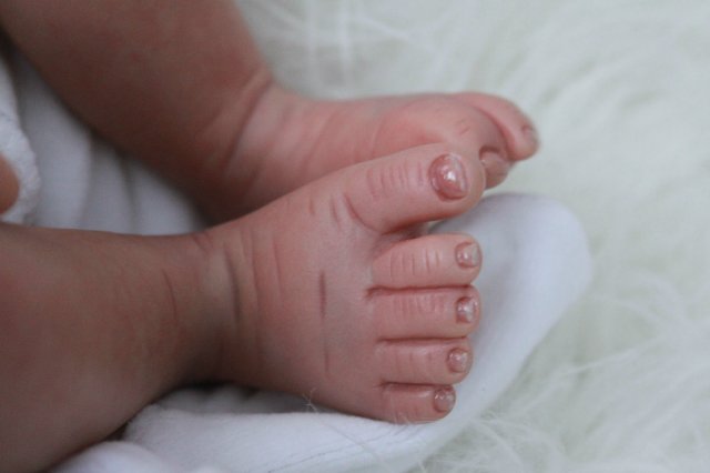 Мои двойняшки-кукла реборн Элины Кудрявцевой