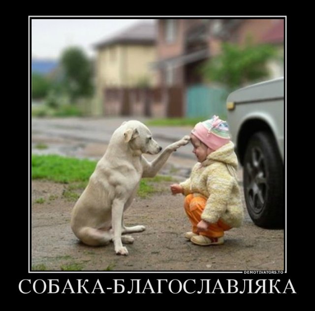 Просто добавь улыбку или пятничный девиз (фото 4)
