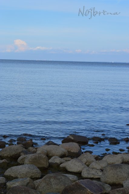 Питер - самый лучший город на земле! Вихтель Rosemarie Anna Muller