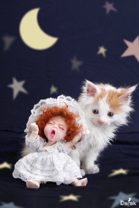 Очаровашка Tori от Darak — Куклы Darak (Дарак): корейские BJD (БЖД) (фото 6)