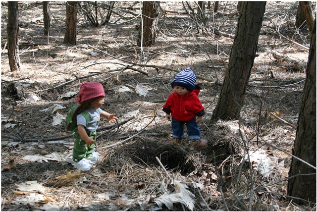 Небольшой поход Вихтелят на Ирдынские болота