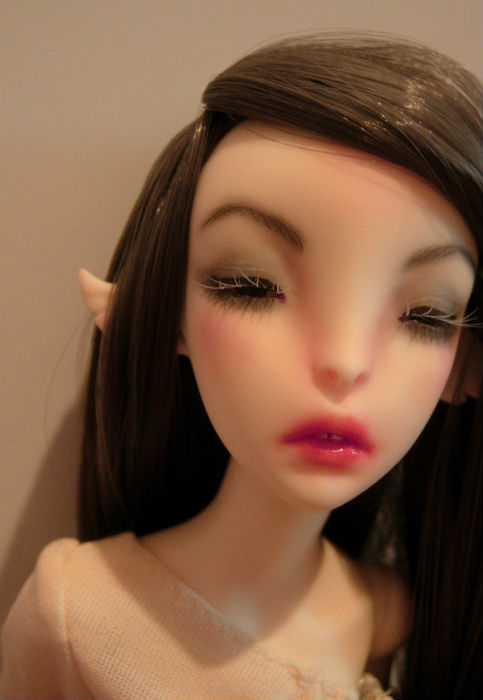 Если в вашем мире нет кошек - заведите долгопята