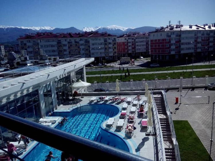 Солнечный день в Сочи Парке