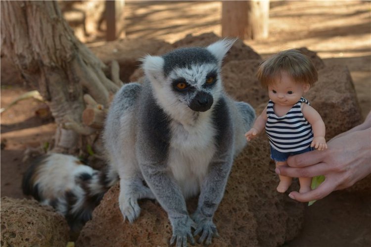 Испания. Тенерифе. Часть 1