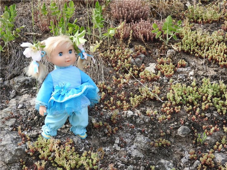 Любителям маленьких кукол