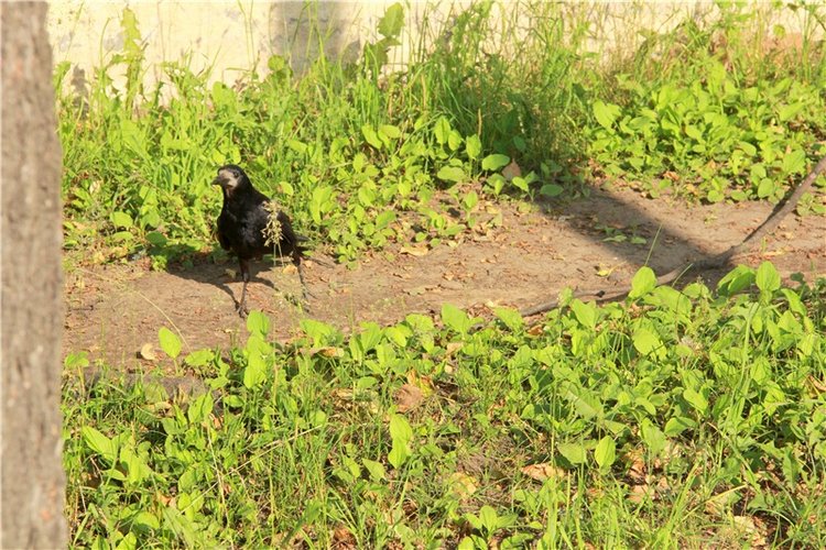 Русская Атлантида, заключительная часть. Калязин, Тверская область