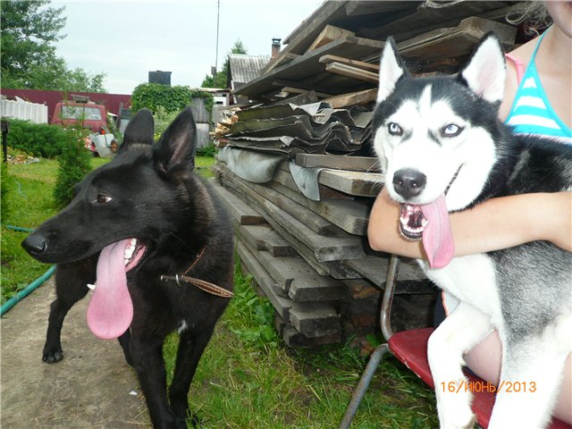 Настюша. Винтажная малышка