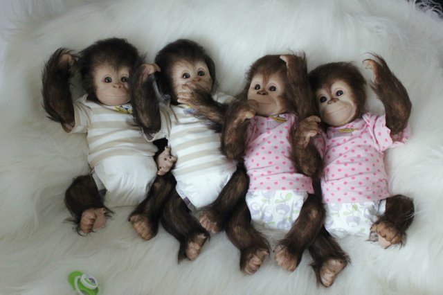 Развеселая компания (или мини-зоопарк)! Куклы реборн Вишни Виктории