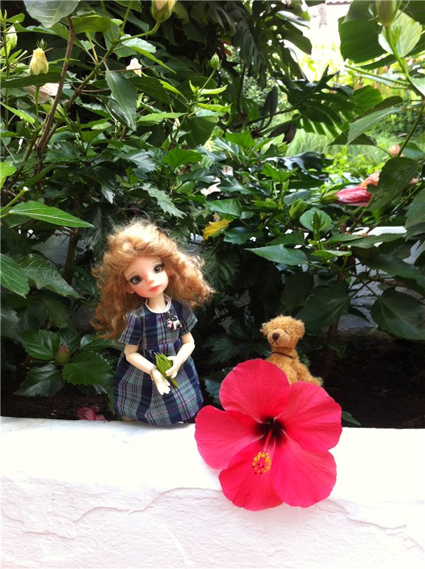 Большое путешествие маленькой девочки. Kaye Wiggs, Nutmeg