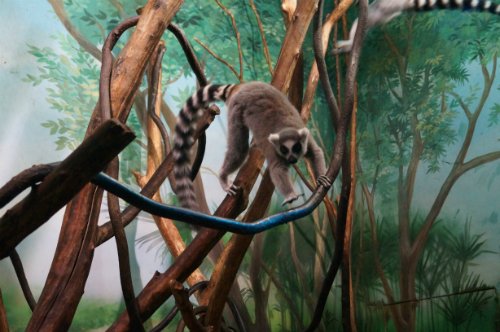 Воронежский океанариум — Туризм и путешествия: фотоотчеты из поездок