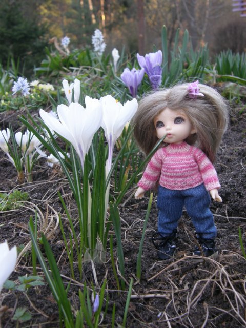 Первая вылазка на улицу. Puki fee Ante, bjd