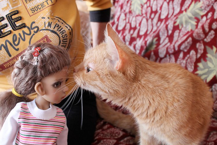 Знакомство Лолы, Kaye Wiggs