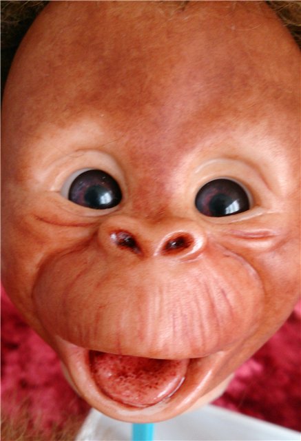 Привет из Африки. Реборн Бинки (фото 5)