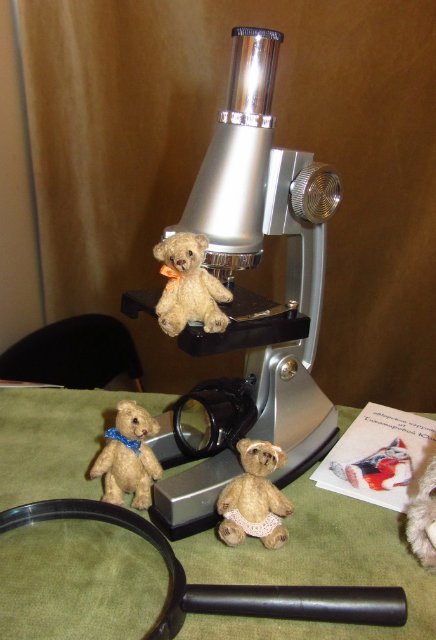 Время кукол 13. Международная выставка коллекционных кукол и мишек Тедди 2014. Продолжение