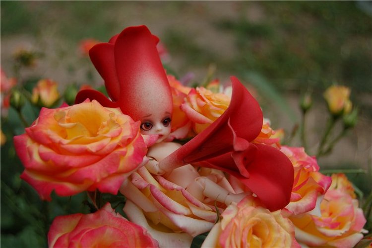 Прогулка по саду Doll zone (фото 8)