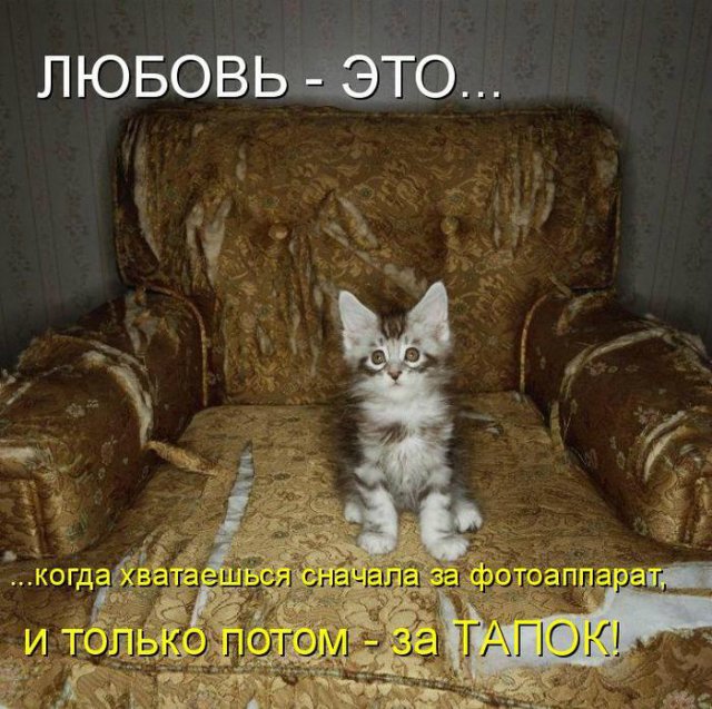 Море позитива) Для поднятия настроения (осторожно! много фото)))) | Бэйбики Море позитива) Для поднятия настроения (осторожно! много фото))))