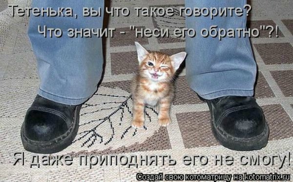 Море позитива) Для поднятия настроения (осторожно! много фото)))) | Бэйбики Море позитива) Для поднятия настроения (осторожно! много фото))))