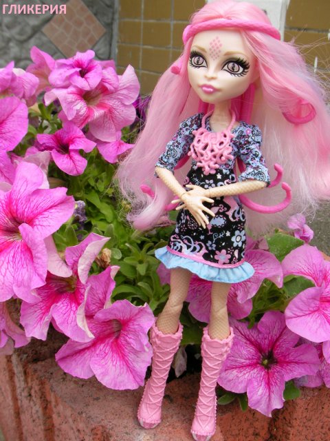 Лето... Цветы... Монстры — Куклы Monster High и Ever After High: G1