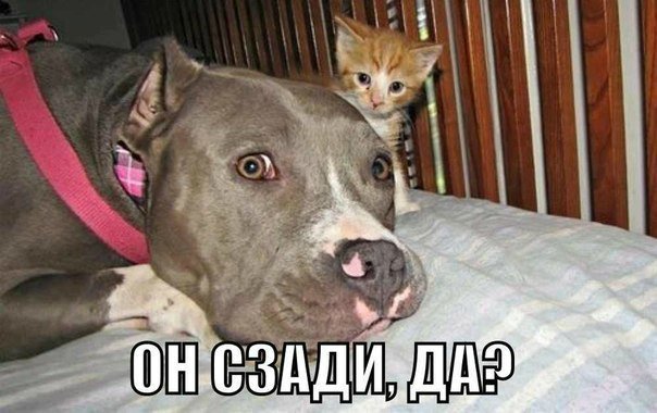 Понедельник - день тяжёлый | Бэйбики Понедельник - день тяжёлый (фото 7)