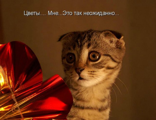 Море позитива) Для поднятия настроения (осторожно! много фото)))) | Бэйбики Море позитива) Для поднятия настроения (осторожно! много фото)))) (фото 6)