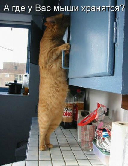 Море позитива) Для поднятия настроения (осторожно! много фото)))) | Бэйбики Море позитива) Для поднятия настроения (осторожно! много фото))))