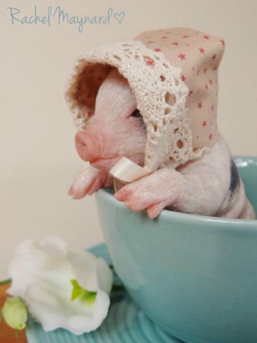 Зверятки-реборнятки — Молды и прототипы Реборн (Reborn): новинки